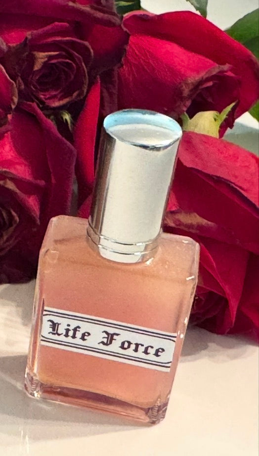 Lifeforce Cologne: health protection
