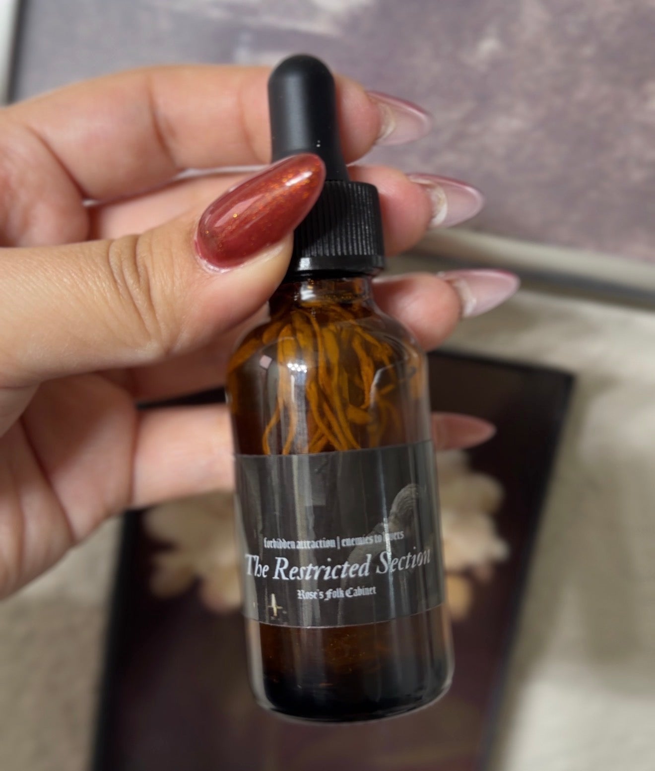 Restricted Section: Forbidden Attraction Limited Edition